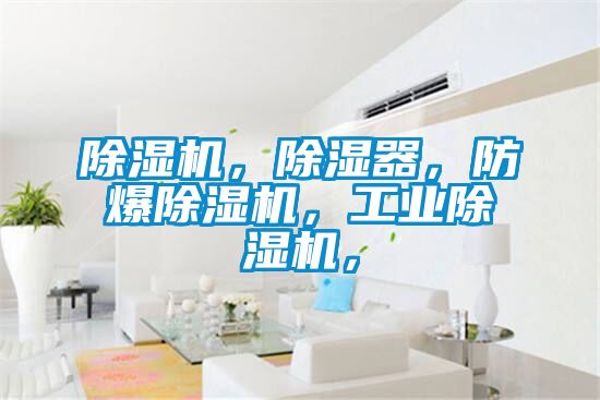 除濕機，除濕器，防爆除濕機，工業除濕機，