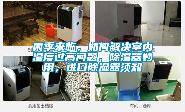 雨季來臨，如何解決室內濕度過高問題，除濕器妙用，進口除濕器須知