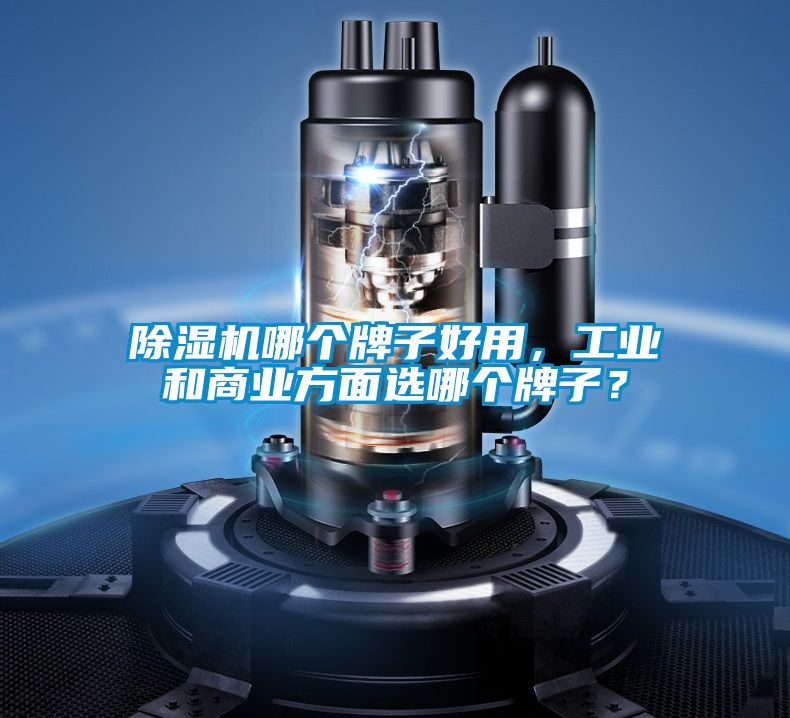 除濕機哪個牌子好用，工業和商業方面選哪個牌子？