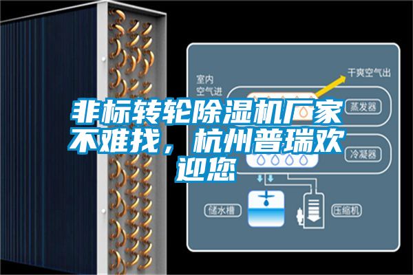 非標轉輪除濕機廠家不難找，杭州普瑞歡迎您