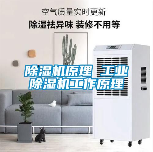 除濕機原理 工業除濕機工作原理