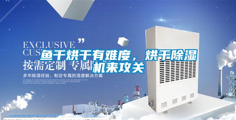 魚干烘干有難度，烘干除濕機來攻關