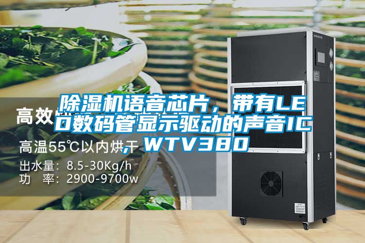 除濕機語音芯片，帶有LED數碼管顯示驅動的聲音IC，WTV380