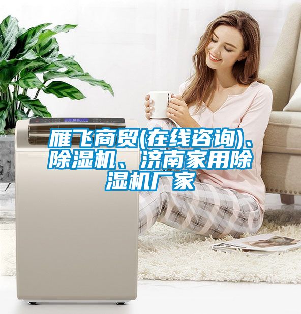雁飛商貿(在線咨詢)、除濕機、濟南家用除濕機廠家