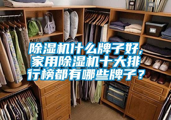 除濕機什么牌子好,家用除濕機十大排行榜都有哪些牌子？