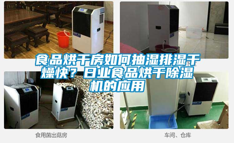 食品烘干房如何抽濕排濕干燥快？日業食品烘干除濕機的應用
