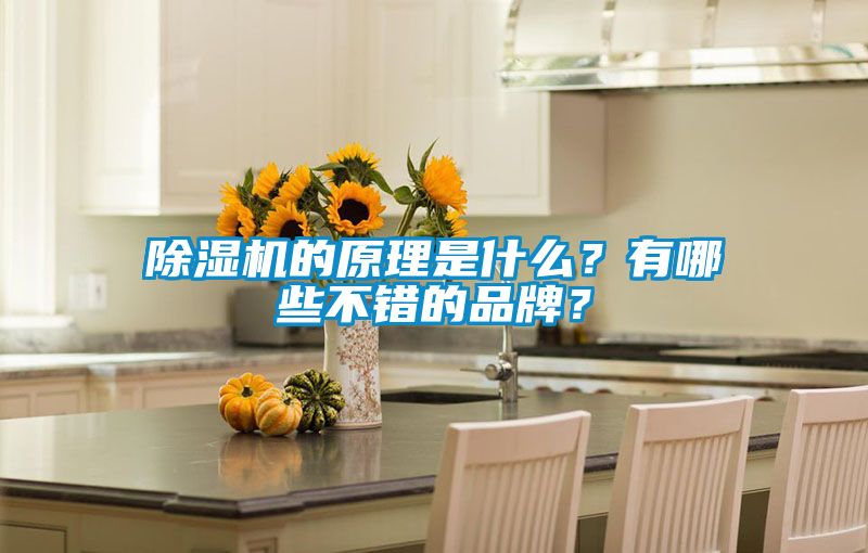 除濕機的原理是什么？有哪些不錯的品牌？