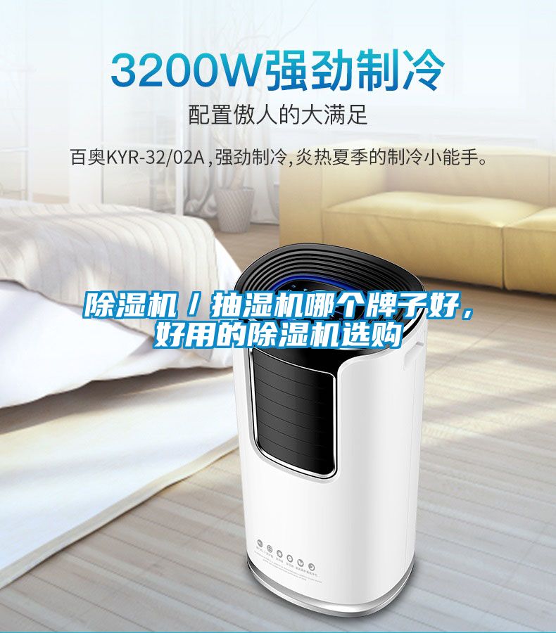 除濕機／抽濕機哪個牌子好，好用的除濕機選購