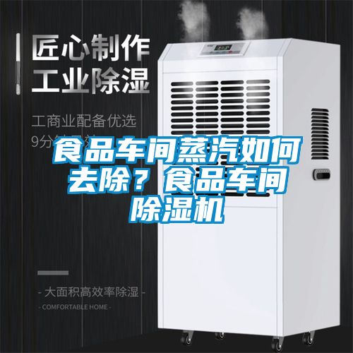 食品車間蒸汽如何去除？食品車間除濕機