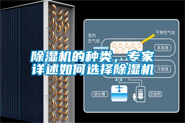 除濕機的種類，專家詳述如何選擇除濕機