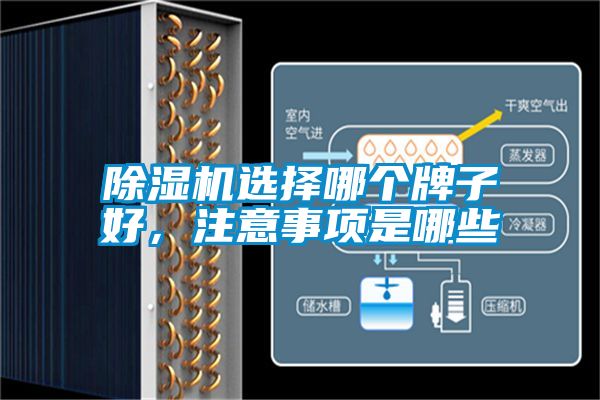 除濕機選擇哪個牌子好，注意事項是哪些