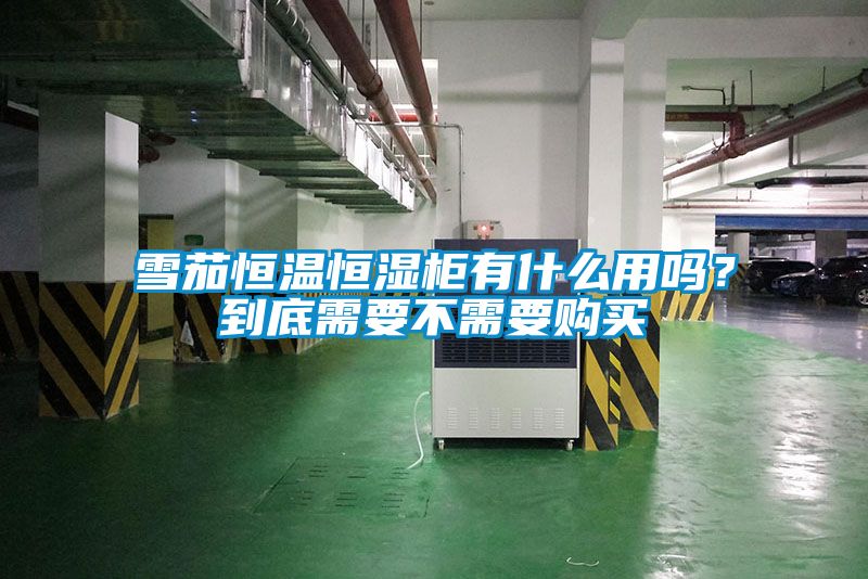 雪茄恒溫恒濕柜有什么用嗎？到底需要不需要購買