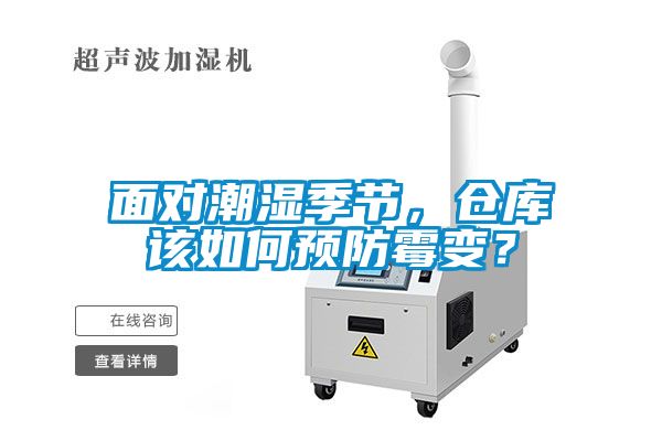 面對潮濕季節，倉庫該如何預防霉變？