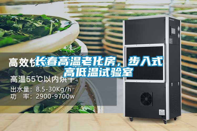 長春高溫老化房，步入式高低溫試驗室