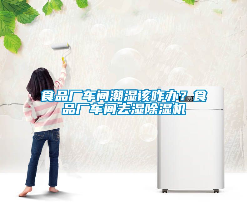 食品廠車間潮濕該咋辦？食品廠車間去濕除濕機