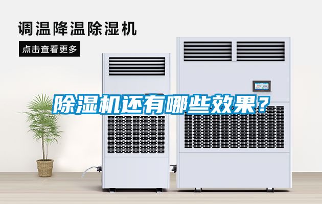 除濕機還有哪些效果？