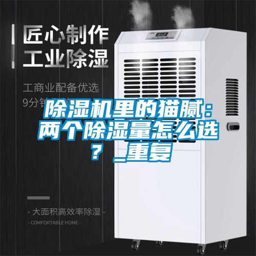 除濕機里的貓膩：兩個除濕量怎么選？_重復
