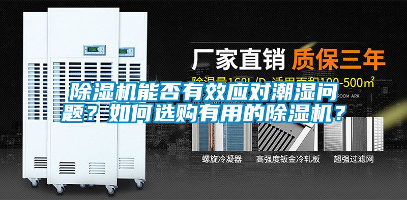 除濕機能否有效應對潮濕問題？如何選購有用的除濕機？