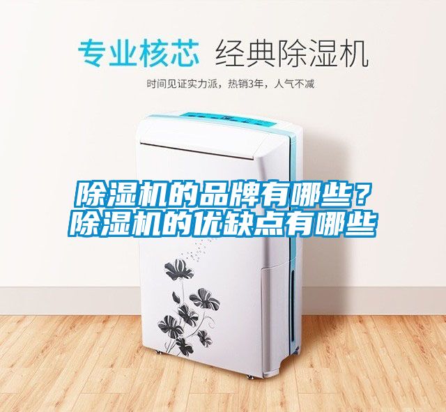 除濕機的品牌有哪些？除濕機的優缺點有哪些