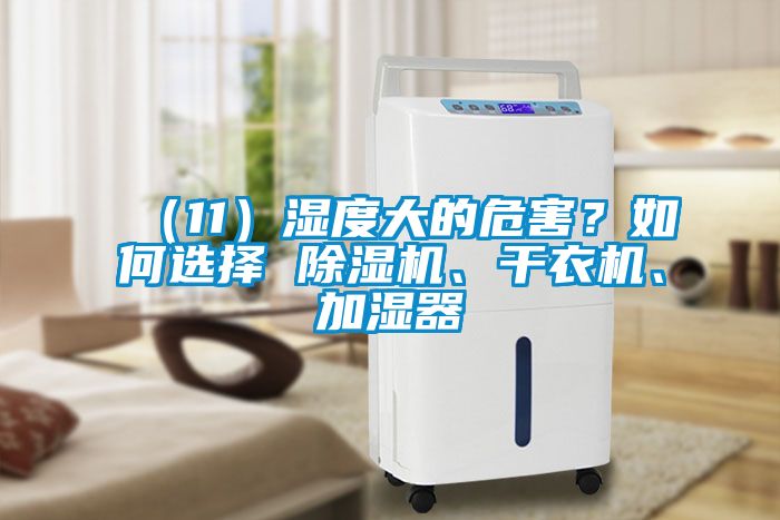（11）濕度大的危害？如何選擇 除濕機、干衣機、加濕器