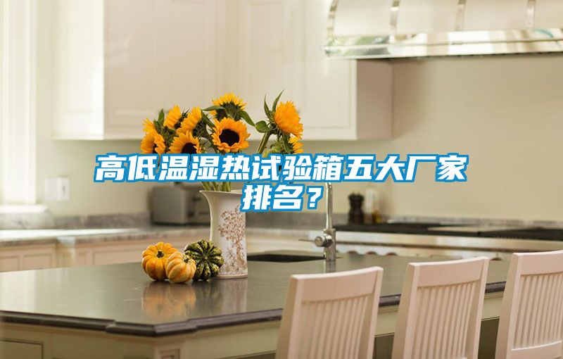 高低溫濕熱試驗箱五大廠家排名？