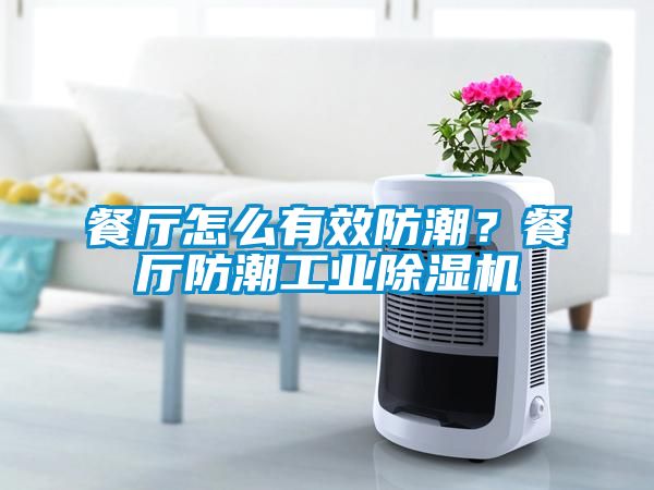 餐廳怎么有效防潮？餐廳防潮工業除濕機