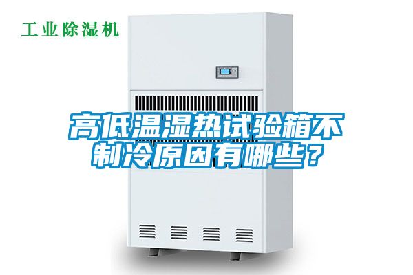 高低溫濕熱試驗箱不制冷原因有哪些？