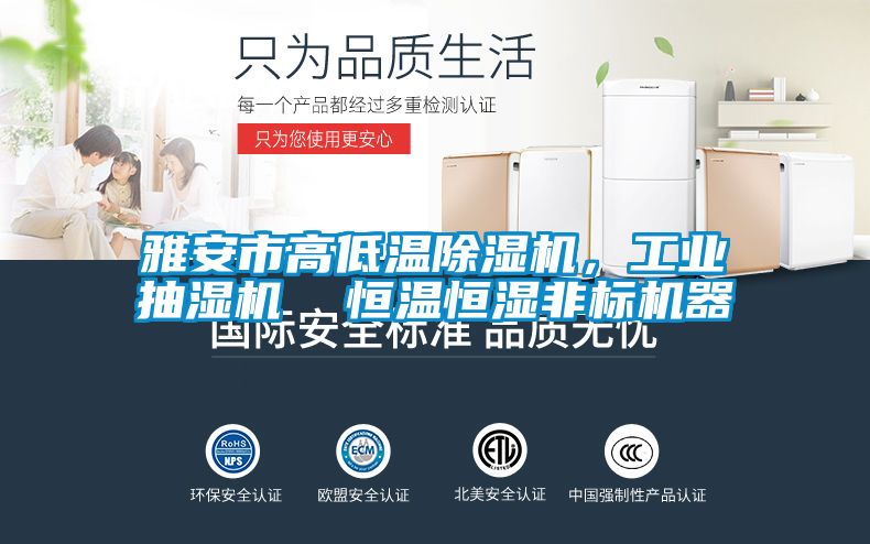 雅安市高低溫除濕機，工業抽濕機  恒溫恒濕非標機器
