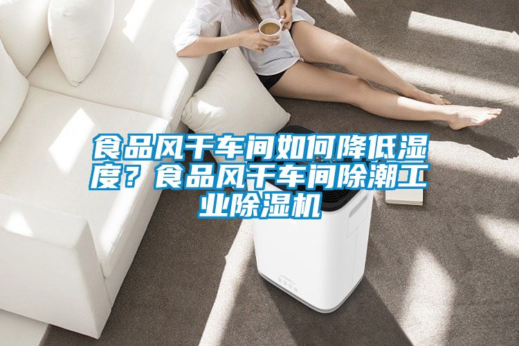 食品風干車間如何降低濕度？食品風干車間除潮工業除濕機