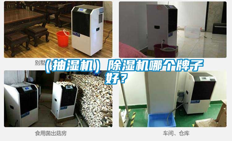 （抽濕機）除濕機哪個牌子好？