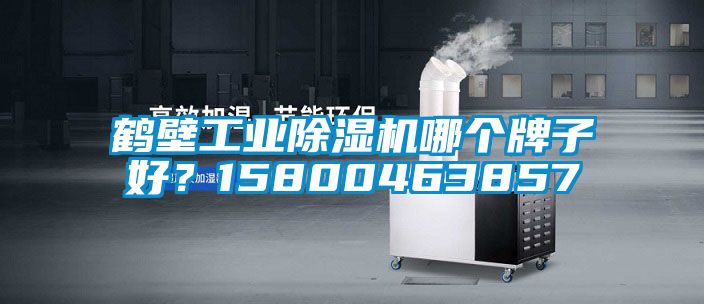 鶴壁工業除濕機哪個牌子好？15800463857